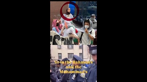 Not mamdani's intern screaming at police