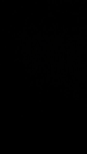 Conservative Viewpoint