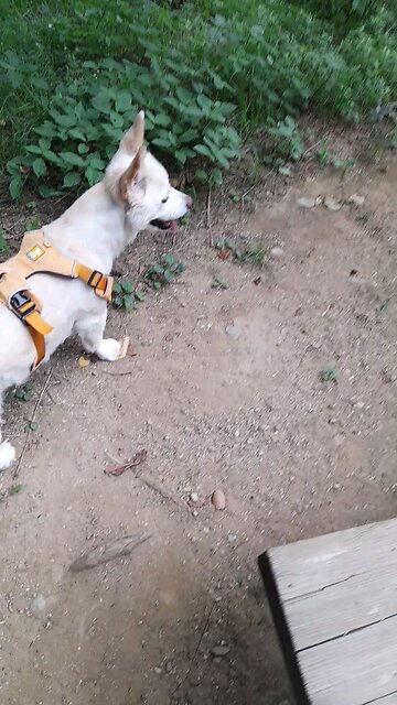 20250701. Jesus Loves Me.