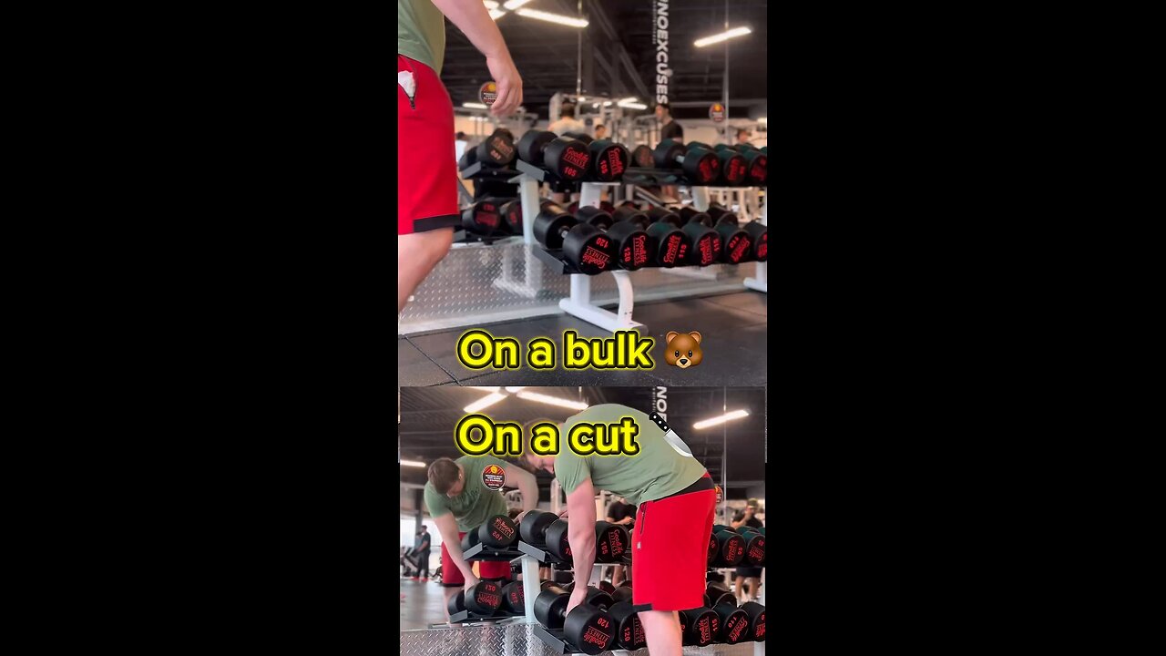 🔪 STRENGTH ON CUT VS BULK🐻