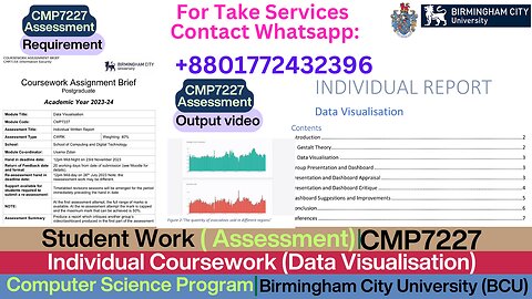 Client Work(Asssignment)|CMP7227 Individual Coursework Data Visualisation|Birmingham City University