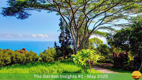 Garden Insights #1: Inspirations for Divine Creative Heroes & Heroines Returning To The Garden