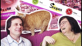 [Jul 13, 2020] Living in the Golden Age of Fact-Checking [reallygraceful]