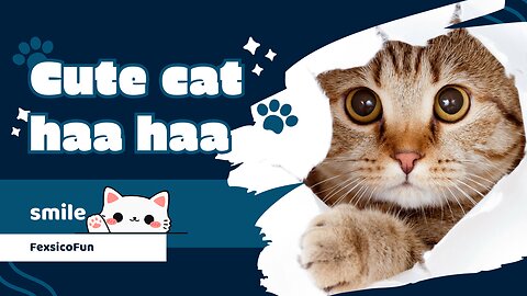 Cute Cat Funny Video..
