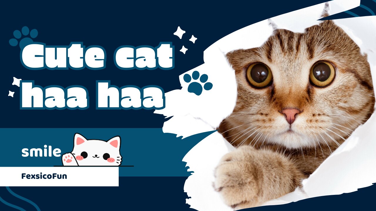 Cute Cat Funny Video..