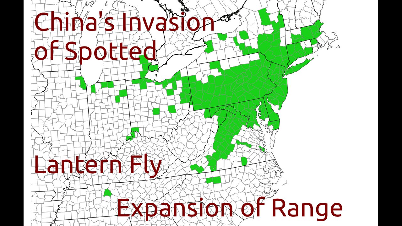 Spotted LanternFly Lantern Fly From China into the USA Fruit Crops