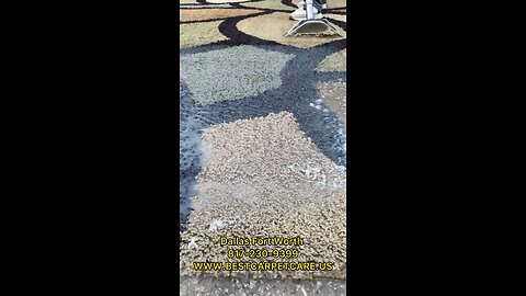 Rug cleaning service