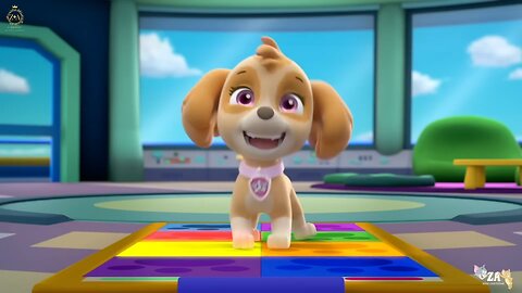 PAW Patrol Cartoons