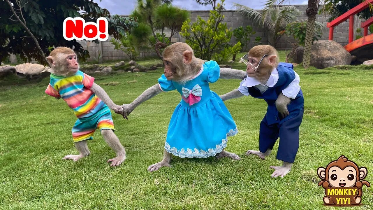 Touching moments of YiYi and YinYin with monkey Jack