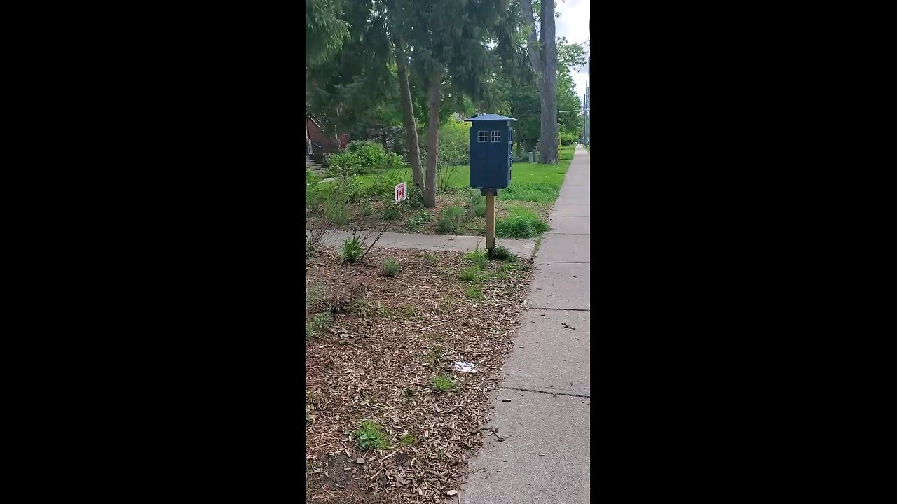 Back to the Police Box