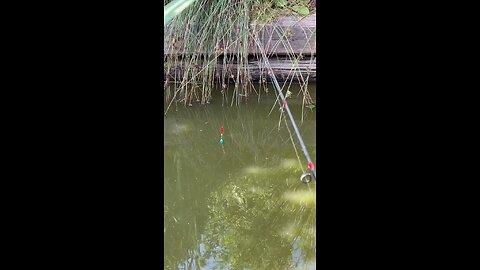 fishing today 24/7