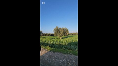 Amazing nature in sidi kacem - Morocco ♥️🇲🇦