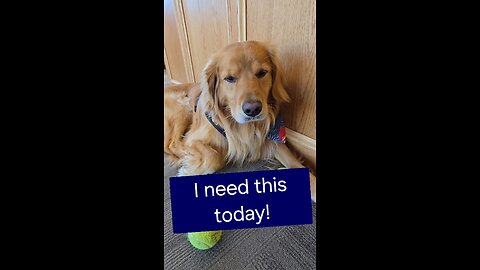 I need this today!