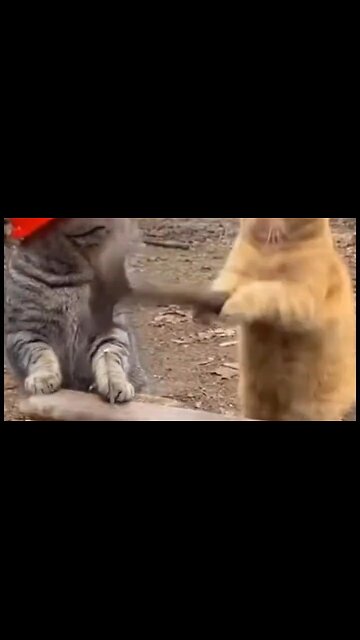 Job Site Dispute....LOL