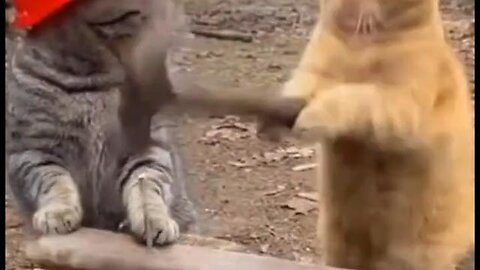 Job Site Dispute....LOL