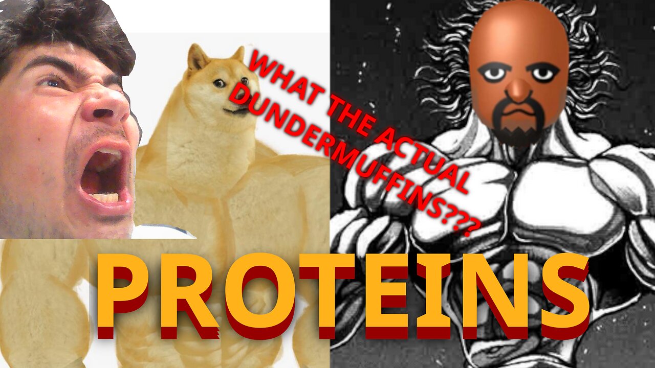 What are proteins and how do they work?