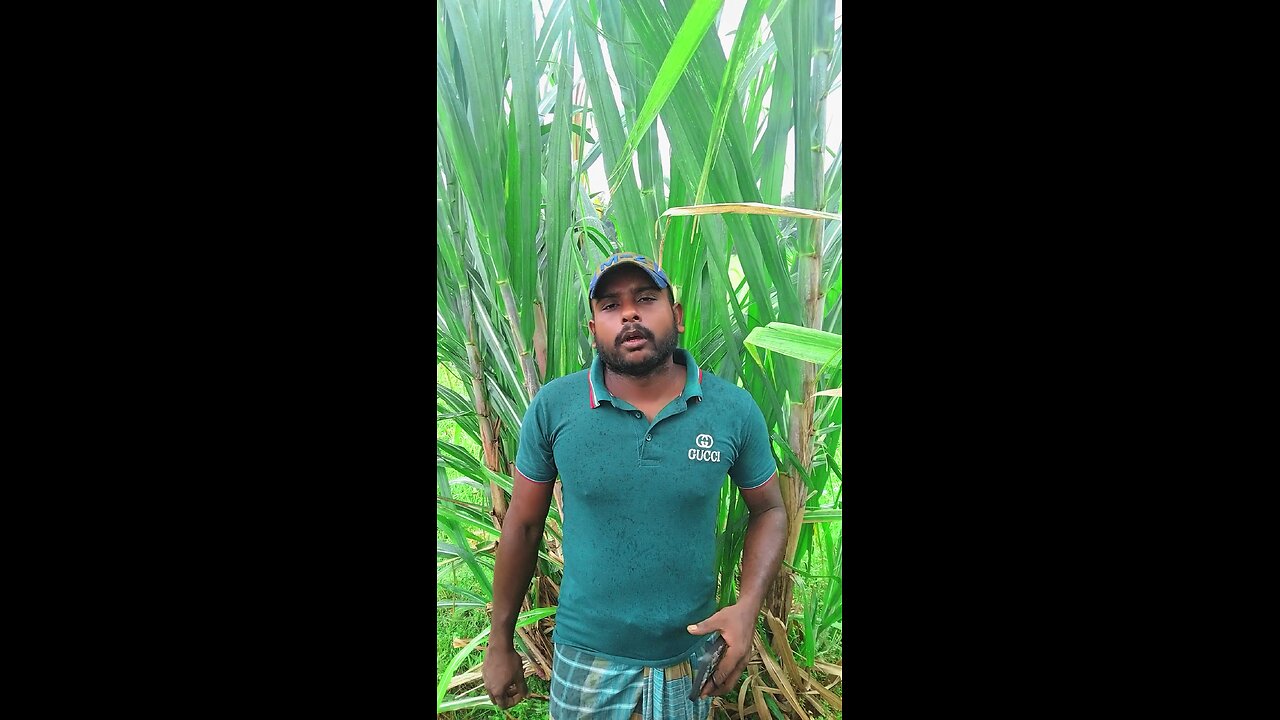 এখন বন্ধু নামের জীবনটাই বড় অদ্ভুত