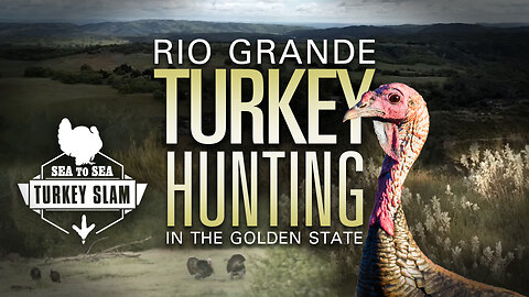 Thrilling California Turkey Hunting (Watch Rio Grande Secrets Revealed!)