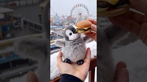 Hungry penguin 🐧 🍔