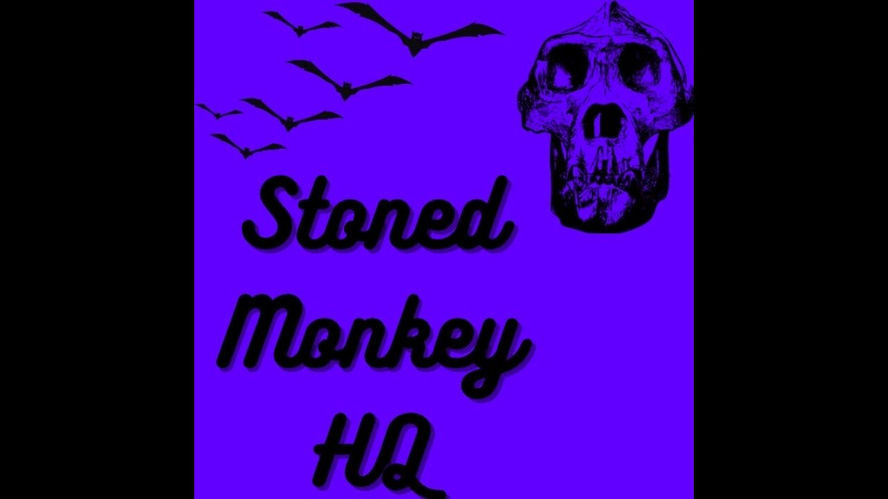 DOE BOYS CO-STREAM