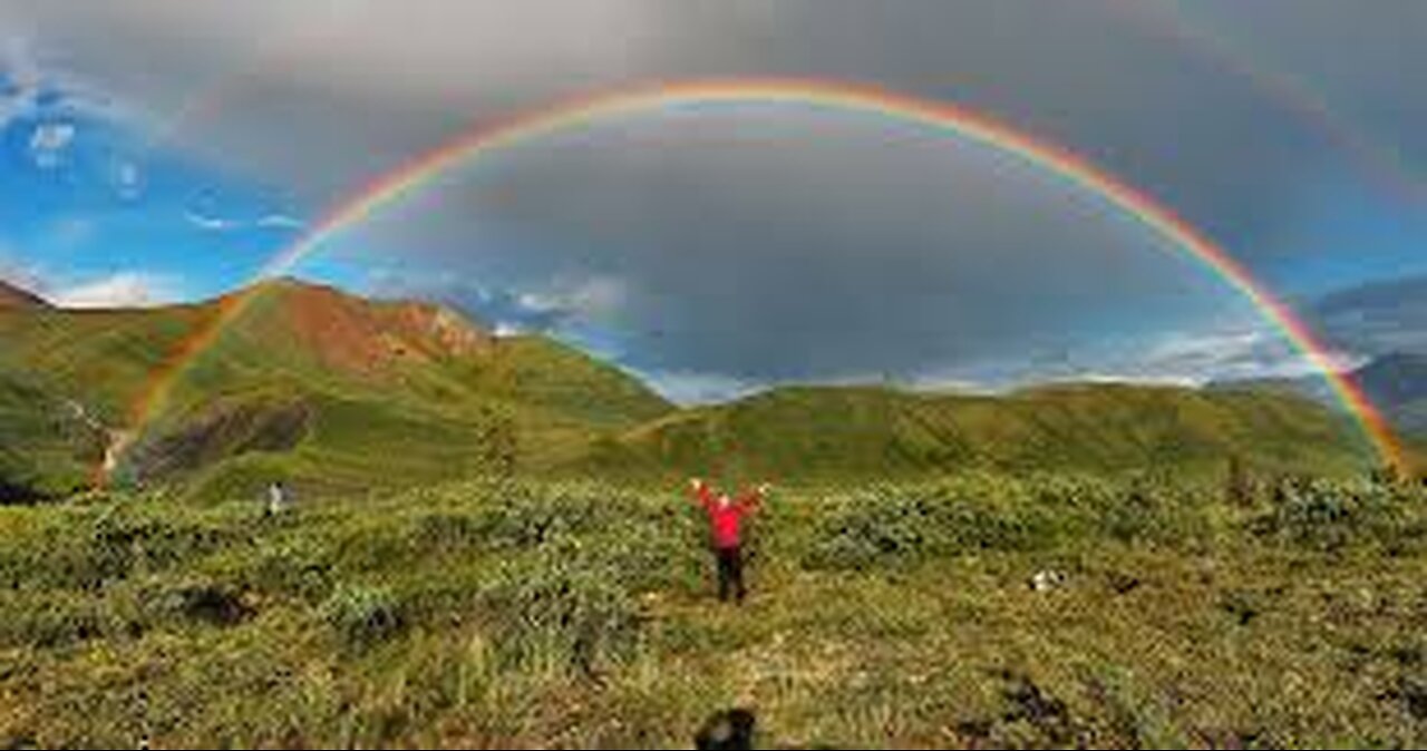 Rainbows How Close? Chocolate Chip Cookie Moon -TUC