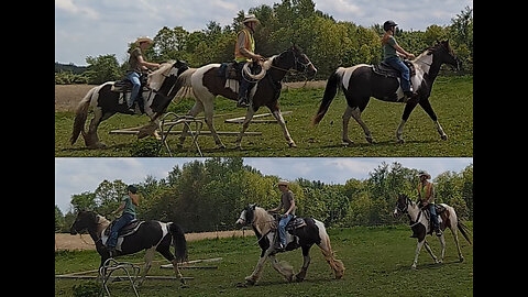 Oakley - ninth ride - eighth ride under saddle 15 May 2025