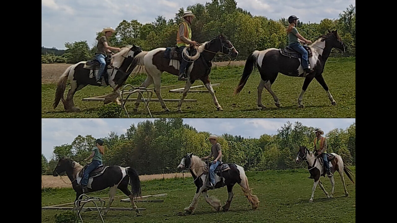 Oakley - ninth ride - eighth ride under saddle 15 May 2025