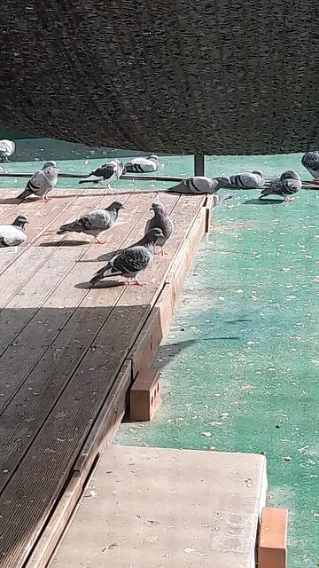 20251024. God Is Love.