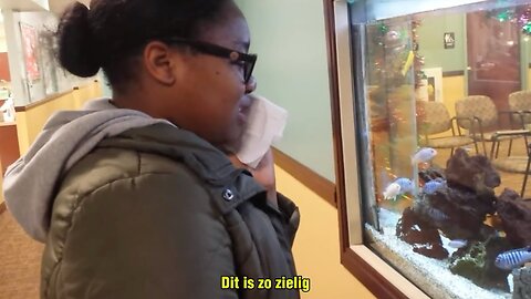 Meid onder verdoving denkt dat de vissen aan het verdrinken zijn: