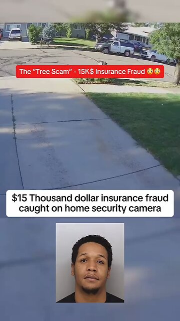 Is It the Tree’s Fault? 🌳💥 #funny #fail #japd