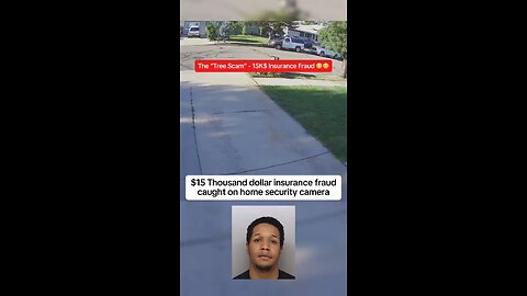 Is It the Tree’s Fault? 🌳💥 #funny #fail #japd