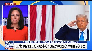 Tudor Dixon: Trump’s ‘Fight, Fight, Fight’ Moment Resonated With Young Men Seeking A Warrior Leader