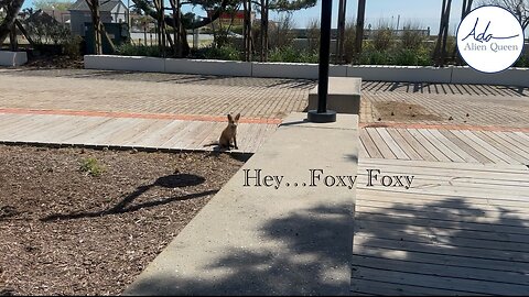 Ada Alien Queen • Ada Walks • Take # 00008 • Hey…Foxy Foxy