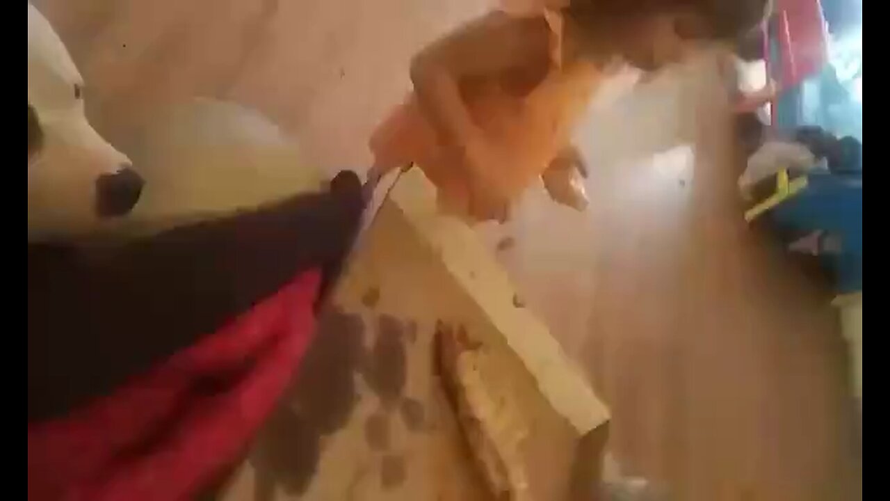 lol