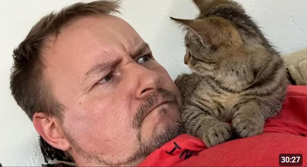 When Cats Start Imiating Their Owners in the Funniest Ways 😹🐾 30 Minutes of Laugh