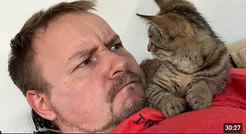 When Cats Start Imiating Their Owners in the Funniest Ways 😹🐾 30 Minutes of Laugh