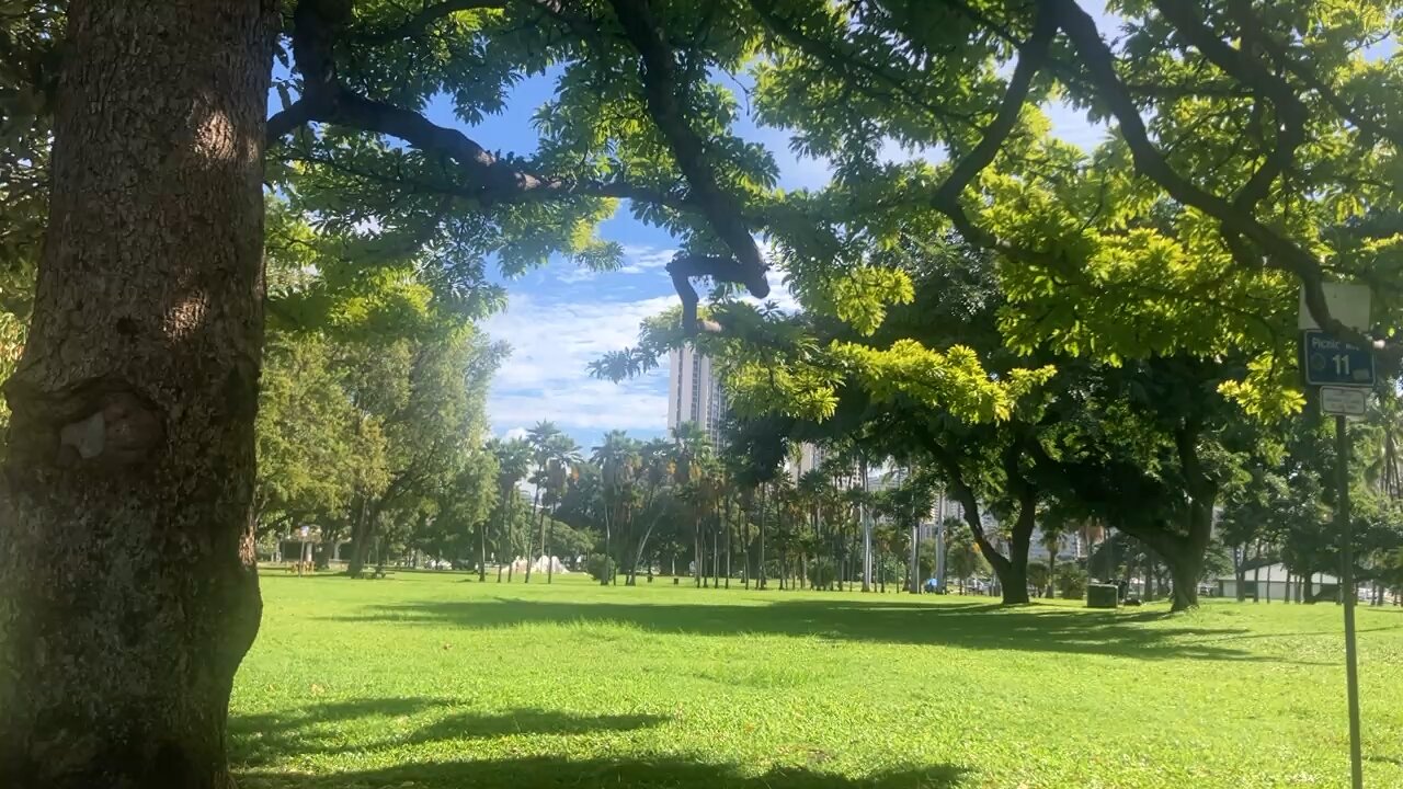 Creating reality - update