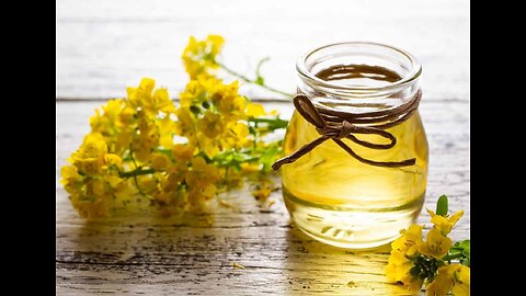 China’s 75.8% Tariff on Canadian Canola: What It Means for Farmers and Global Markets