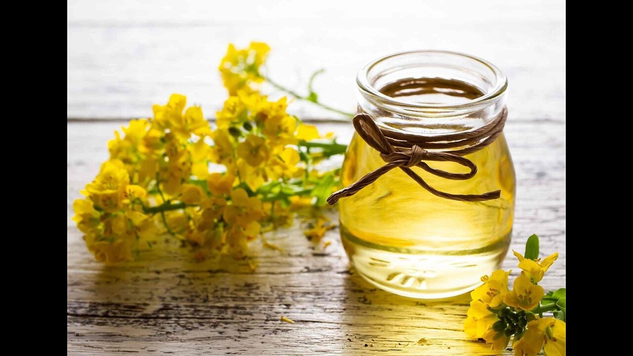 China’s 75.8% Tariff on Canadian Canola: What It Means for Farmers and Global Markets
