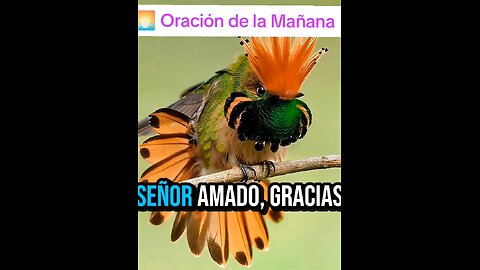 oración de la mañana