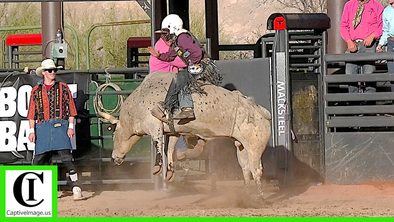 Bull Riding & Fighting - Legends of the West Rodeo | Saturday 2025