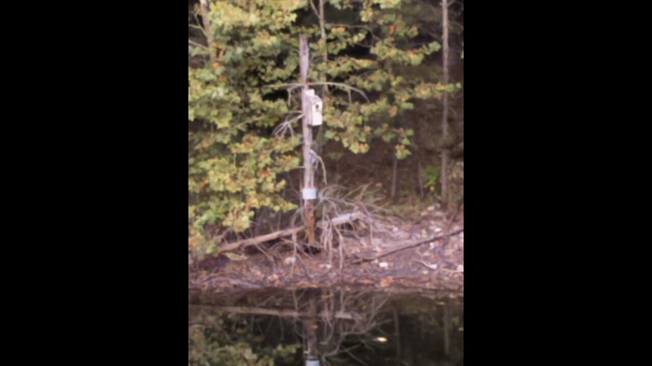 God is good all the time 1480: The Hustle and Bustle