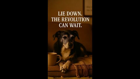 Lie Down, The Revolution Can Wait