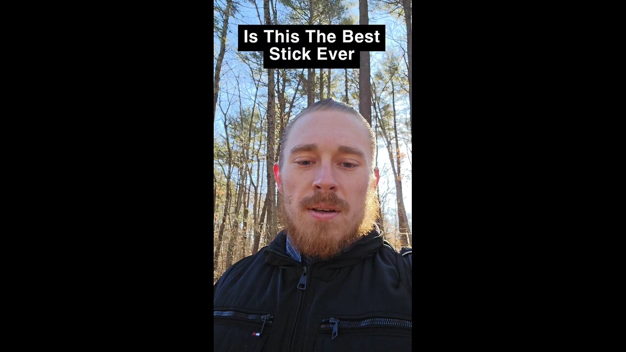 Is This The Best Stick Ever