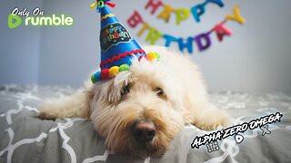 Birthday Stream - Random games and stuff | 🎂Rumble Studio Direct RTMP🎂
