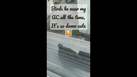 Nature and I are really good friends 😊