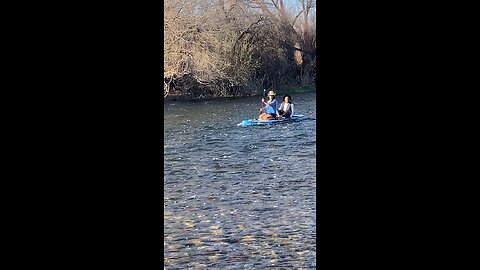 Paddle Board