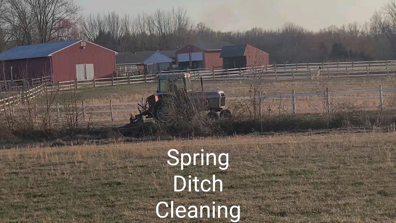 Spring Cleaning