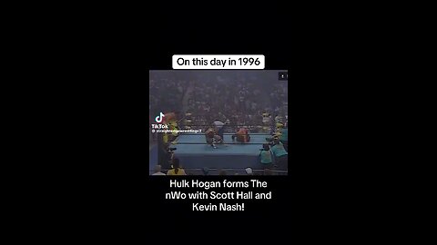 Hulk Hogan NWO