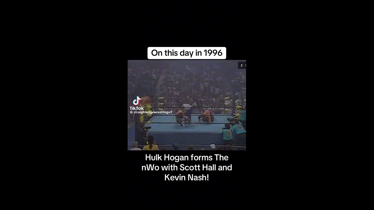 Hulk Hogan NWO